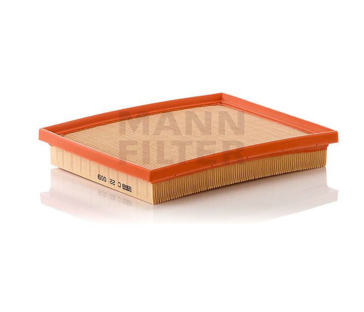 [C-22-009]Filtro de aire Mann y Hummel