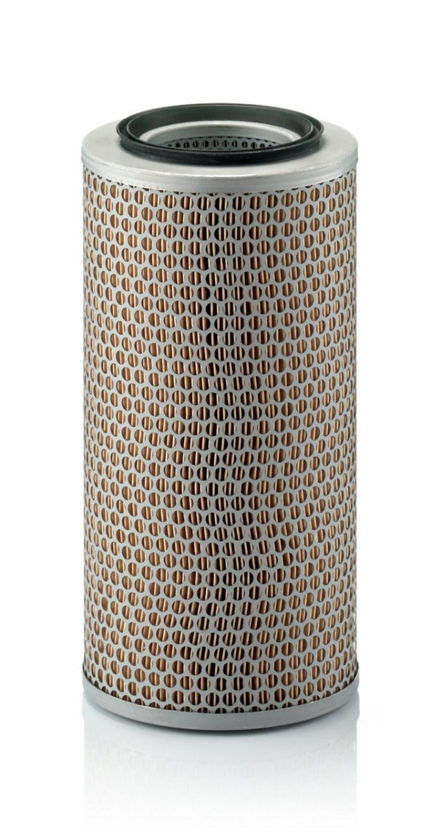 [C-17-250]Elemento de filtro de aire europeo Mann-Filter(05821087,9826280410001,2323855,2339823,2934588,2349823,4384103,5956515-05,44980895)