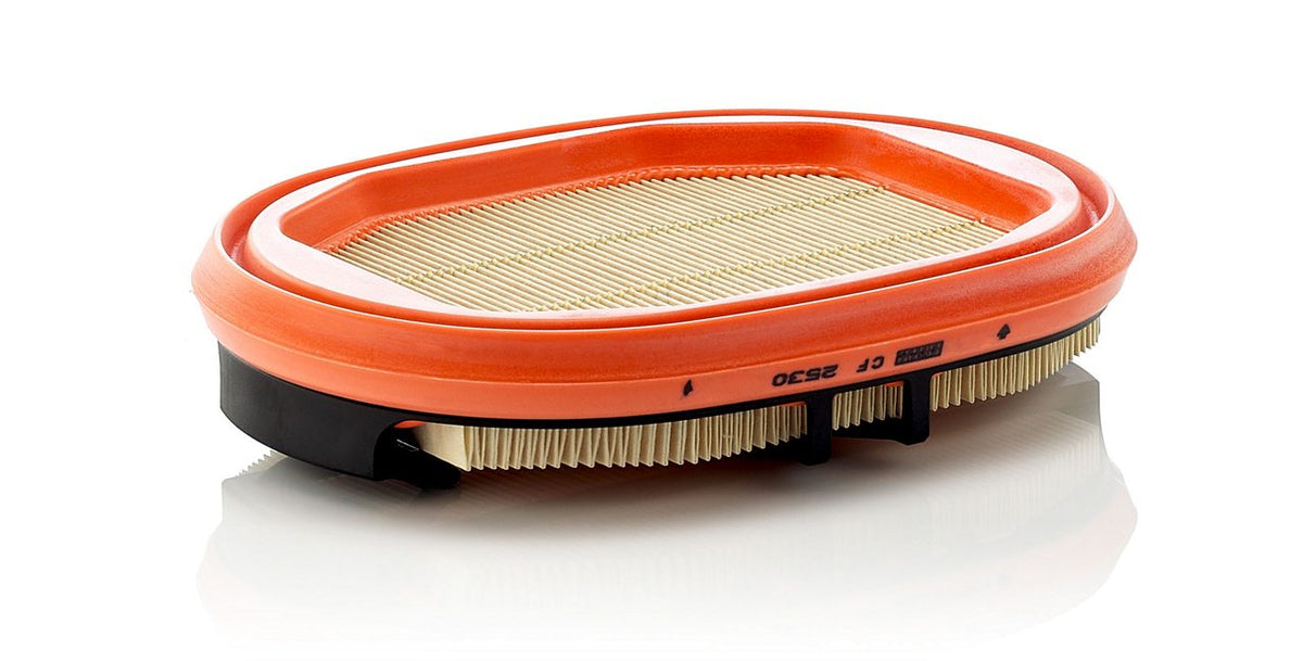 [CF-2530]Mann and Hummel air filter(schmidt winterdienst 1054969-5)