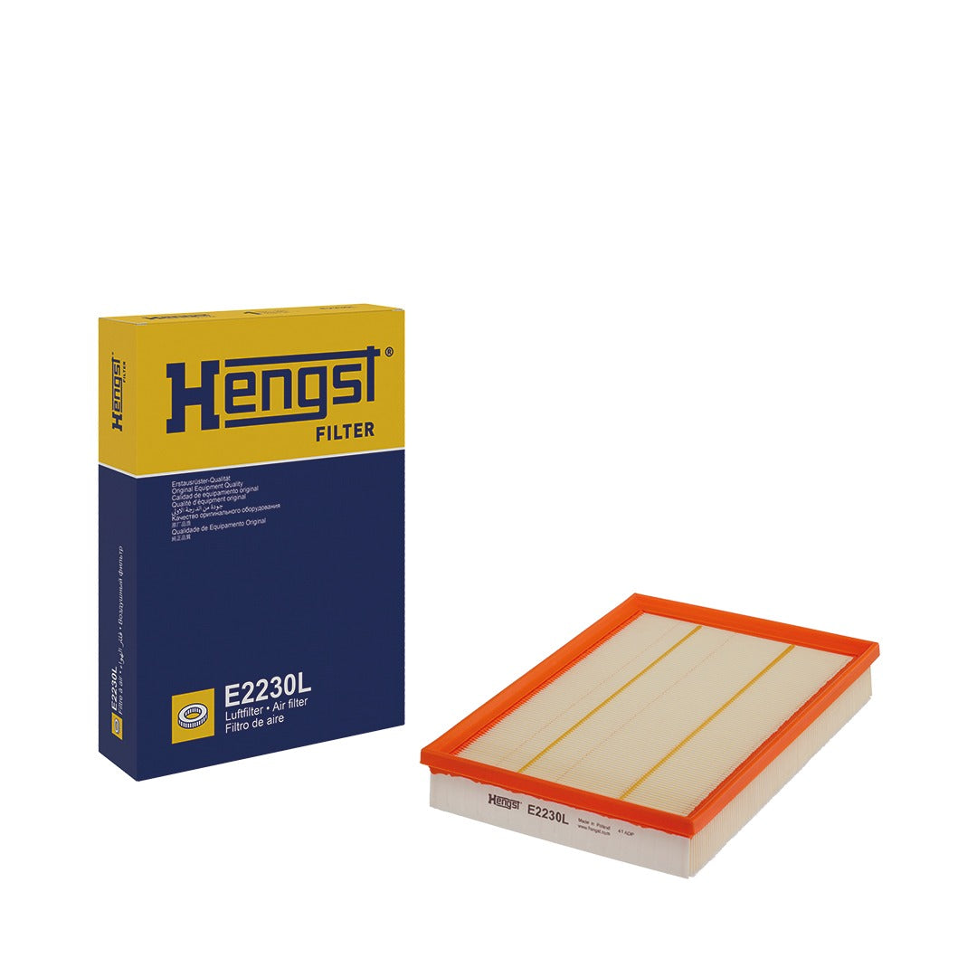 [E2230L]Hegnst air filter 2020+ Sprinter Van(A9075283500)